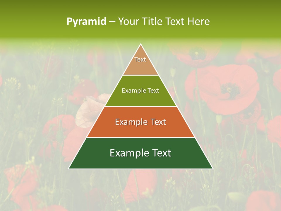 Landscape Sunrise Grass PowerPoint Template