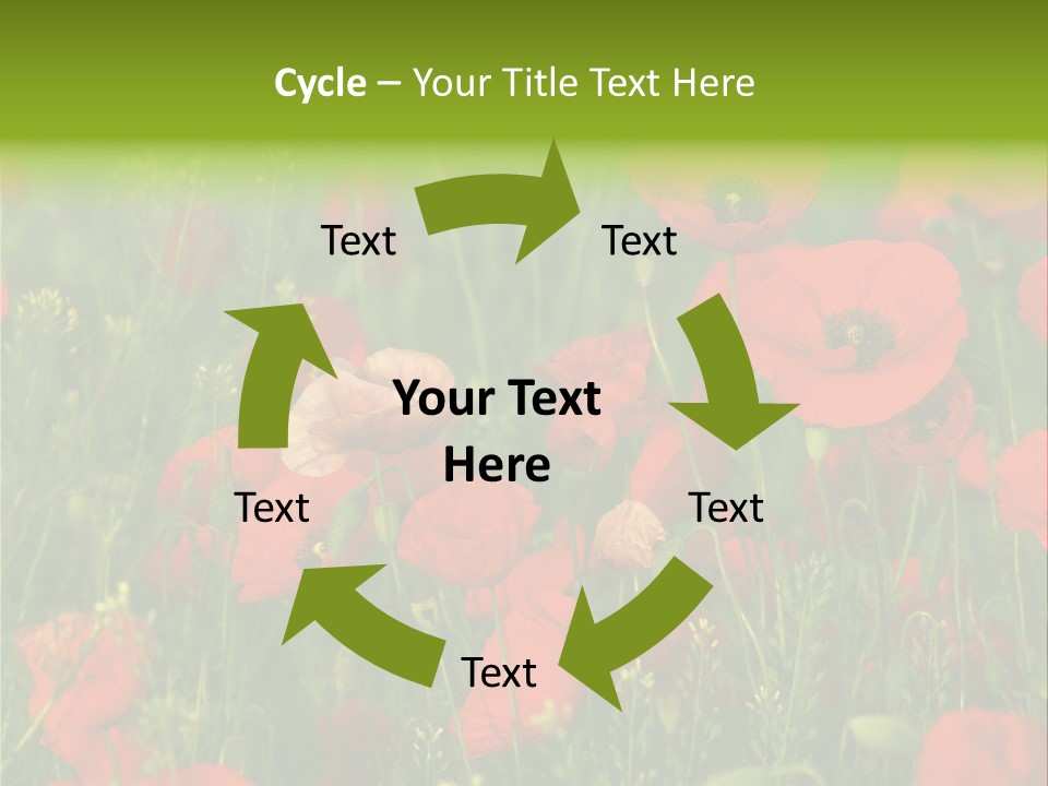 Landscape Sunrise Grass PowerPoint Template