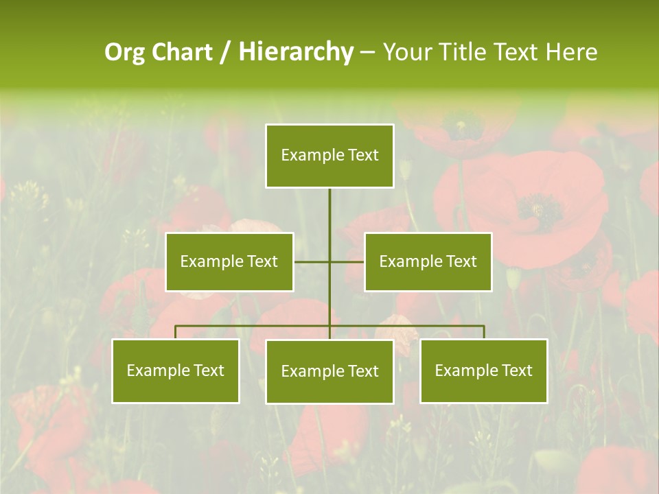 Landscape Sunrise Grass PowerPoint Template