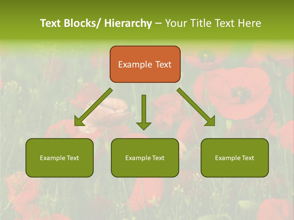 Landscape Sunrise Grass PowerPoint Template