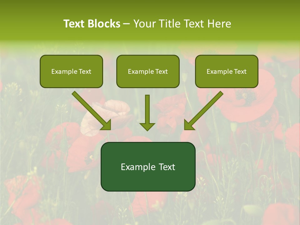 Landscape Sunrise Grass PowerPoint Template