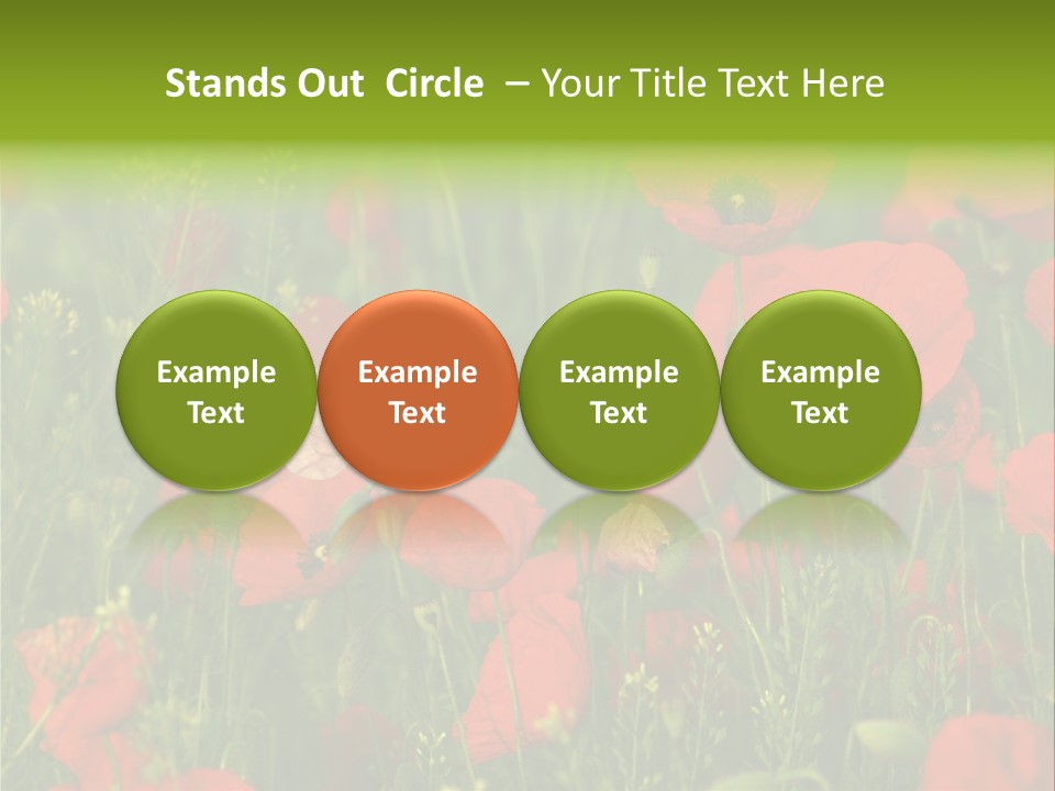 Landscape Sunrise Grass PowerPoint Template