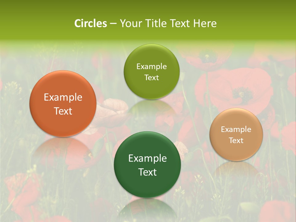 Landscape Sunrise Grass PowerPoint Template