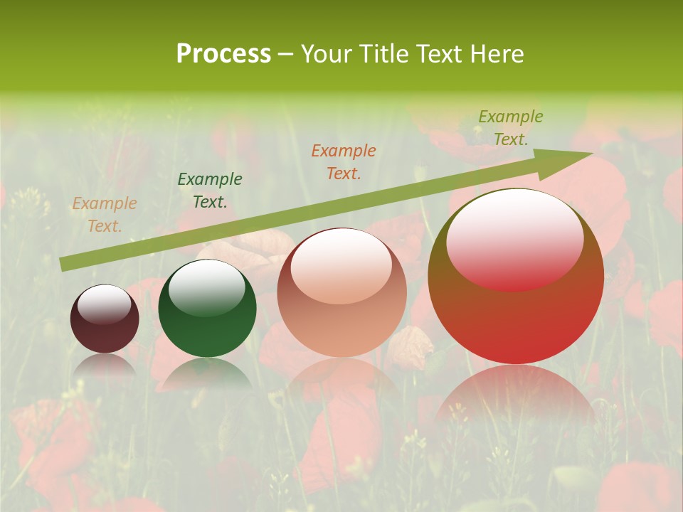 Landscape Sunrise Grass PowerPoint Template