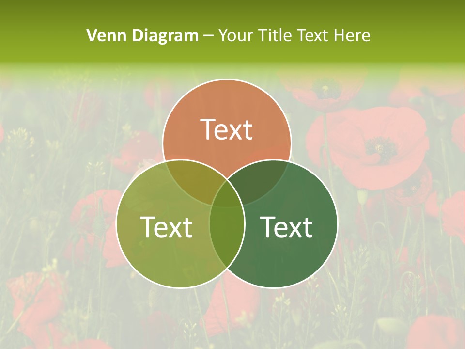 Landscape Sunrise Grass PowerPoint Template