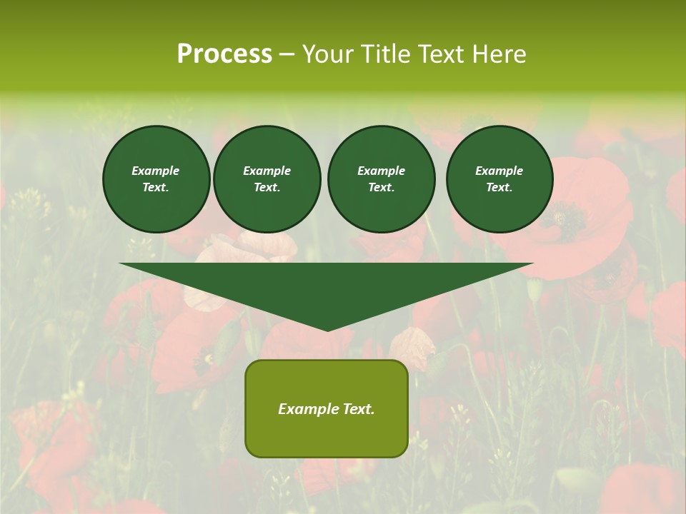 Landscape Sunrise Grass PowerPoint Template