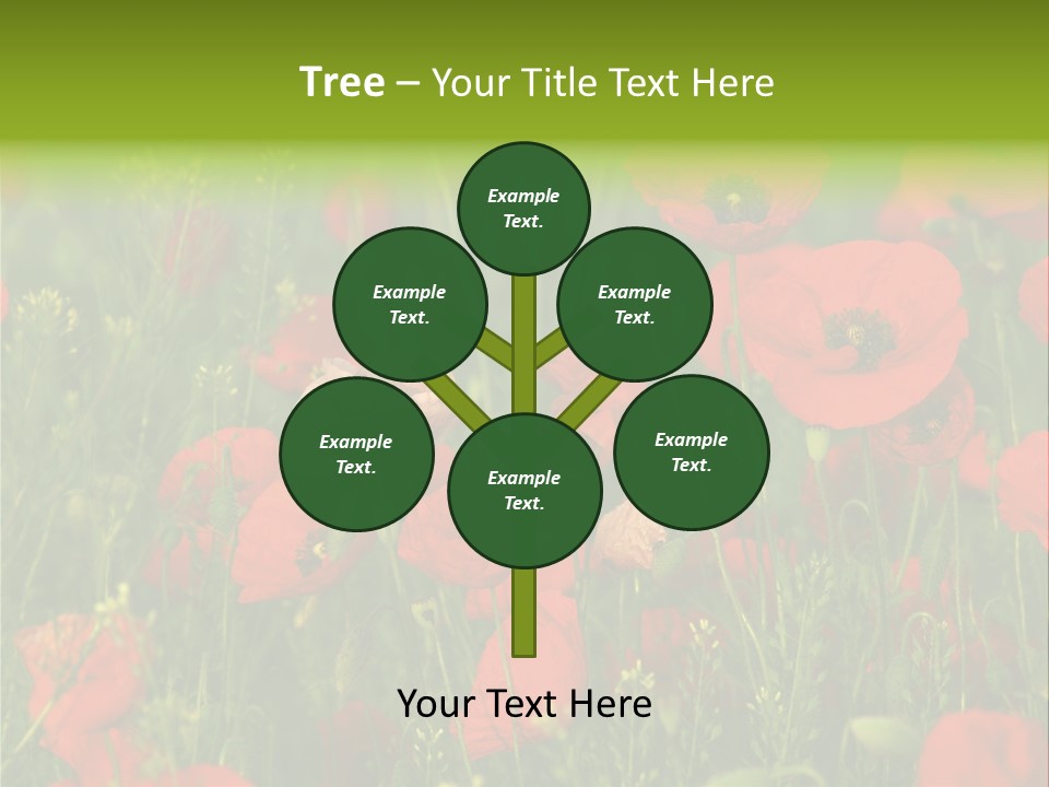 Landscape Sunrise Grass PowerPoint Template