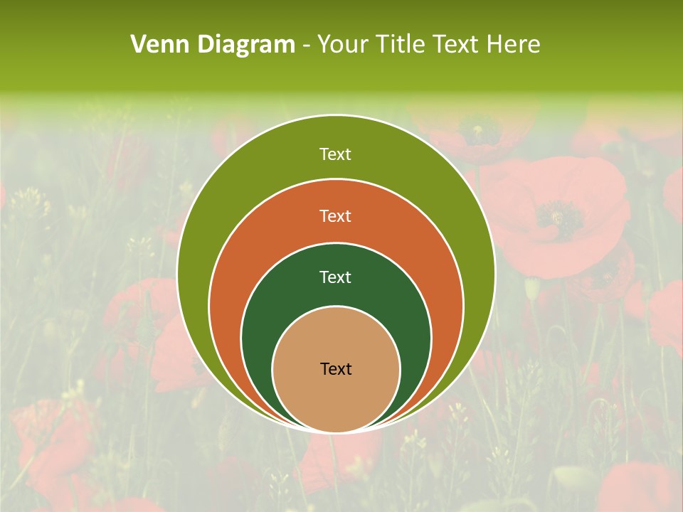 Landscape Sunrise Grass PowerPoint Template