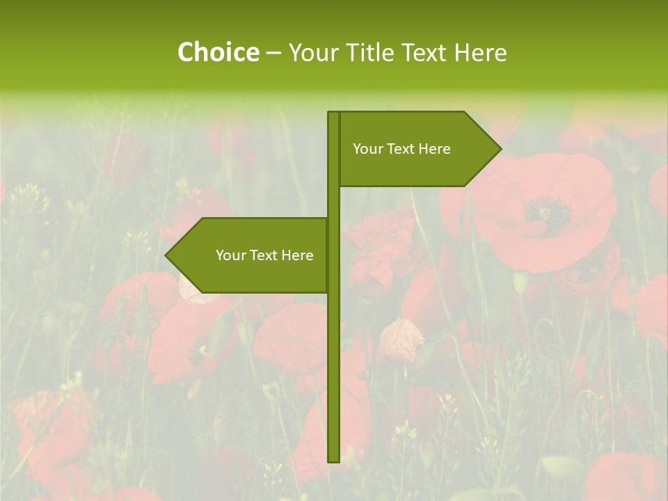 Landscape Sunrise Grass PowerPoint Template