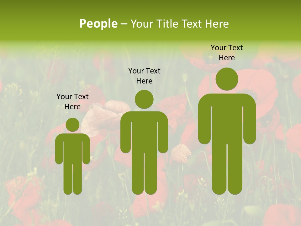 Landscape Sunrise Grass PowerPoint Template