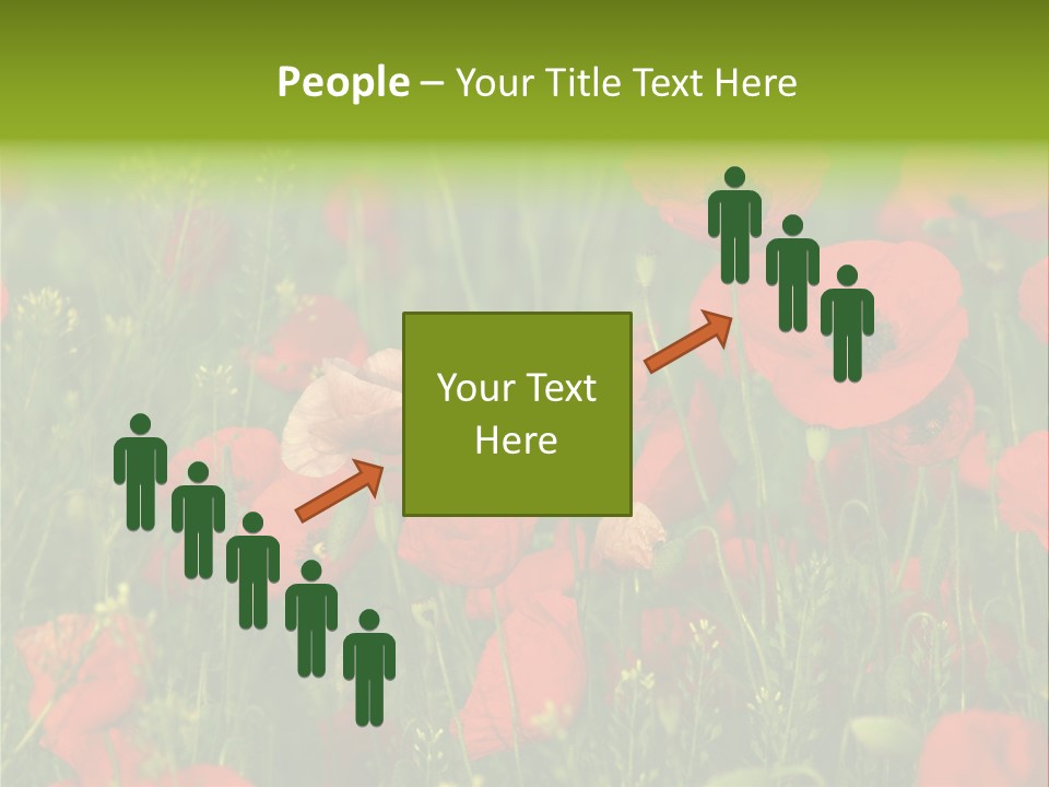 Landscape Sunrise Grass PowerPoint Template