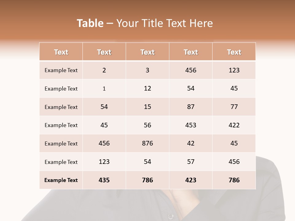 Professional Pretty Style PowerPoint Template