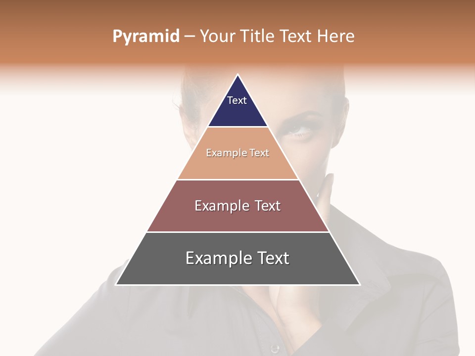 Professional Pretty Style PowerPoint Template