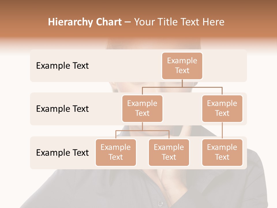 Professional Pretty Style PowerPoint Template