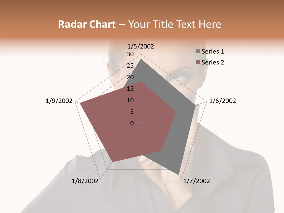 Professional Pretty Style PowerPoint Template