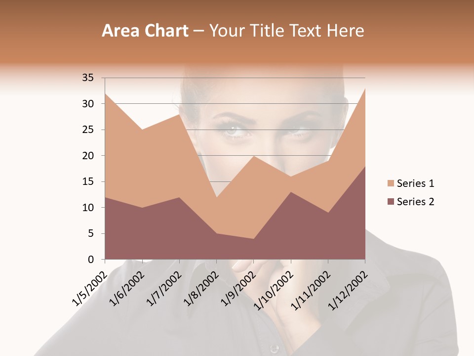 Professional Pretty Style PowerPoint Template