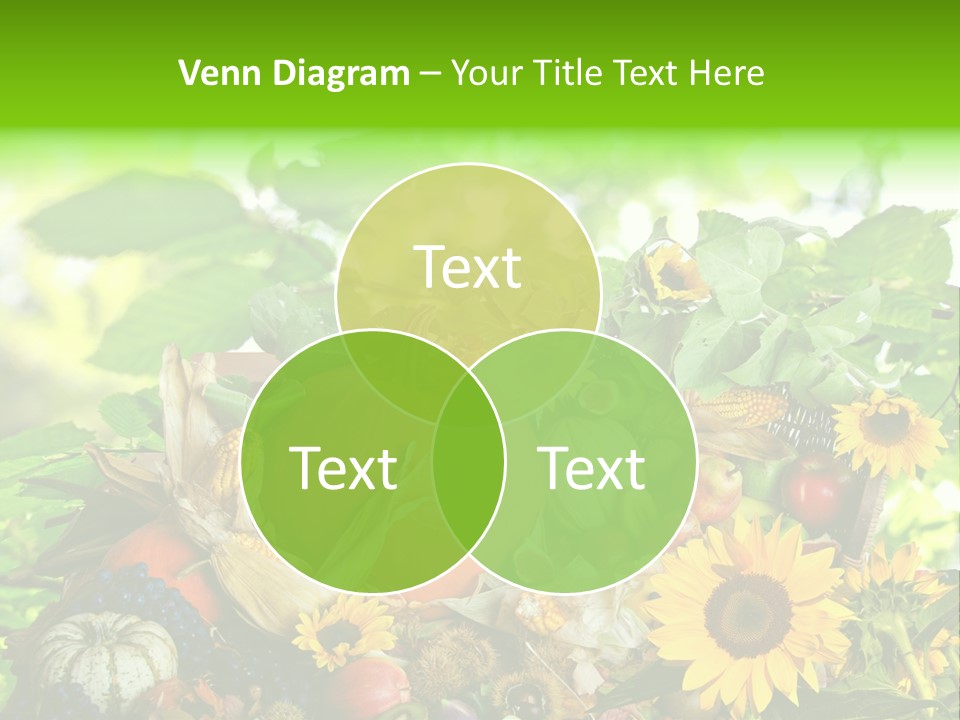 Gesund Zierk Obst PowerPoint Template