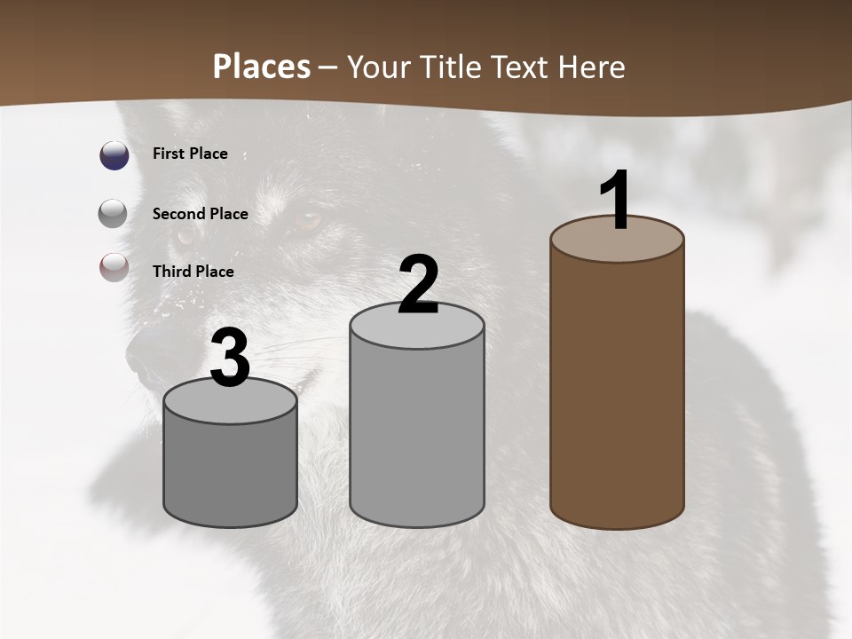 Cold Mammal Head PowerPoint Template