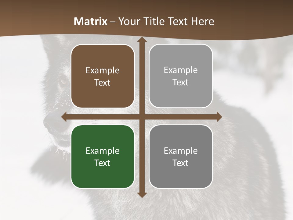 Cold Mammal Head PowerPoint Template