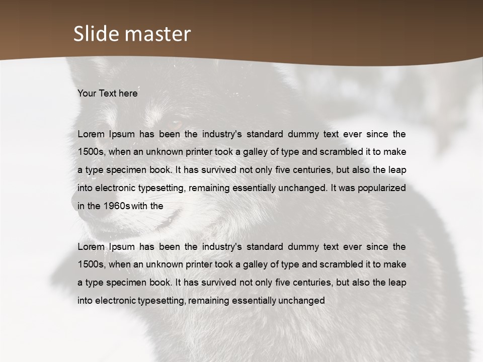 Cold Mammal Head PowerPoint Template