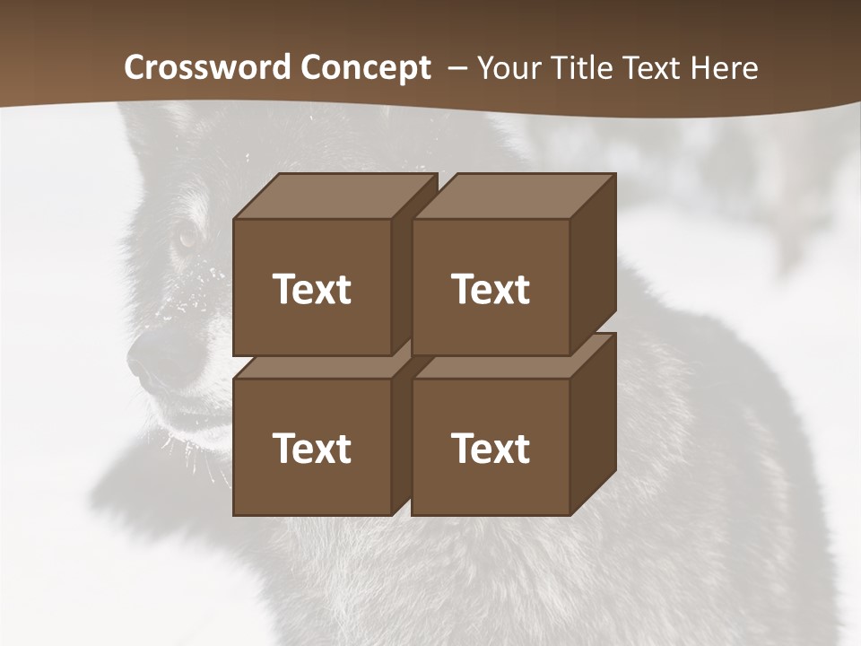 Cold Mammal Head PowerPoint Template