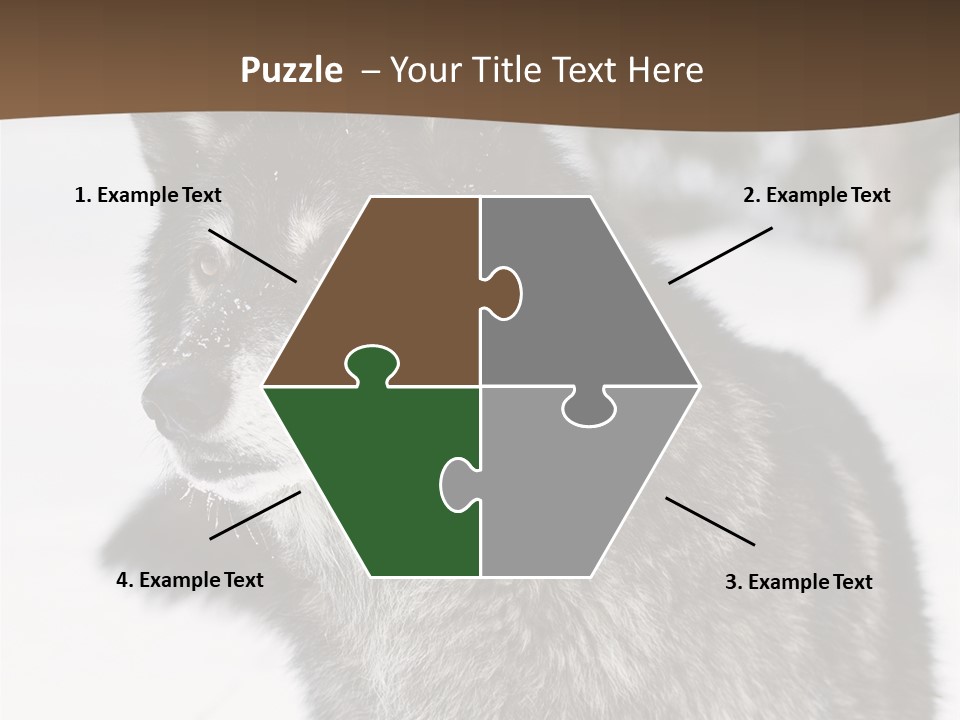 Cold Mammal Head PowerPoint Template