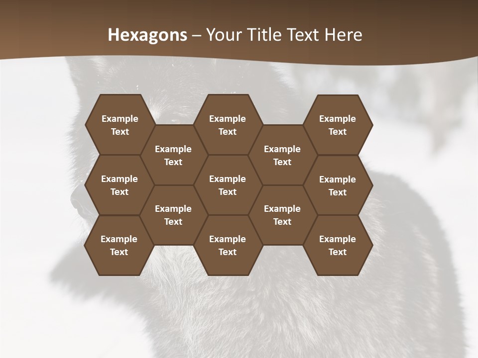 Cold Mammal Head PowerPoint Template