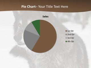 Cold Mammal Head PowerPoint Template