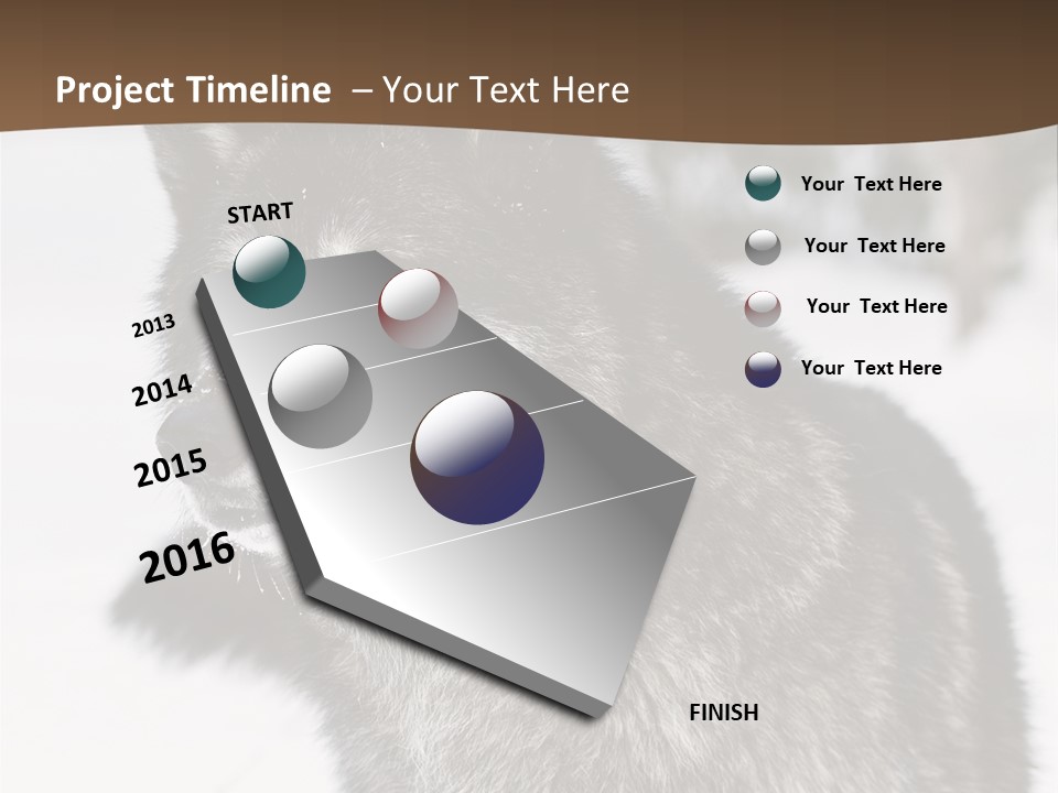Cold Mammal Head PowerPoint Template