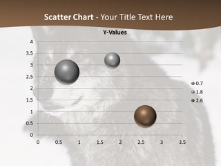 Cold Mammal Head PowerPoint Template