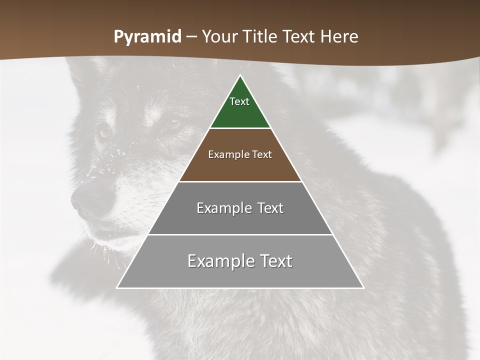 Cold Mammal Head PowerPoint Template