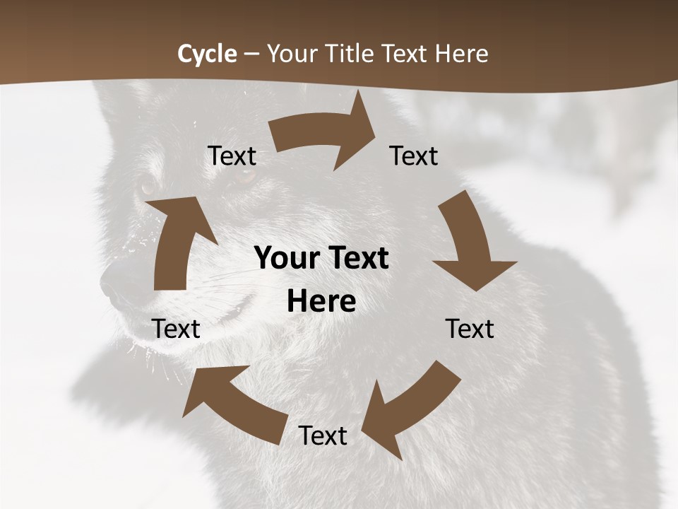 Cold Mammal Head PowerPoint Template