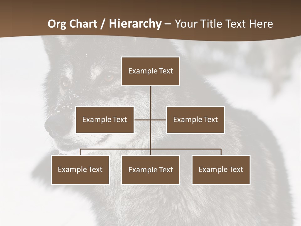 Cold Mammal Head PowerPoint Template