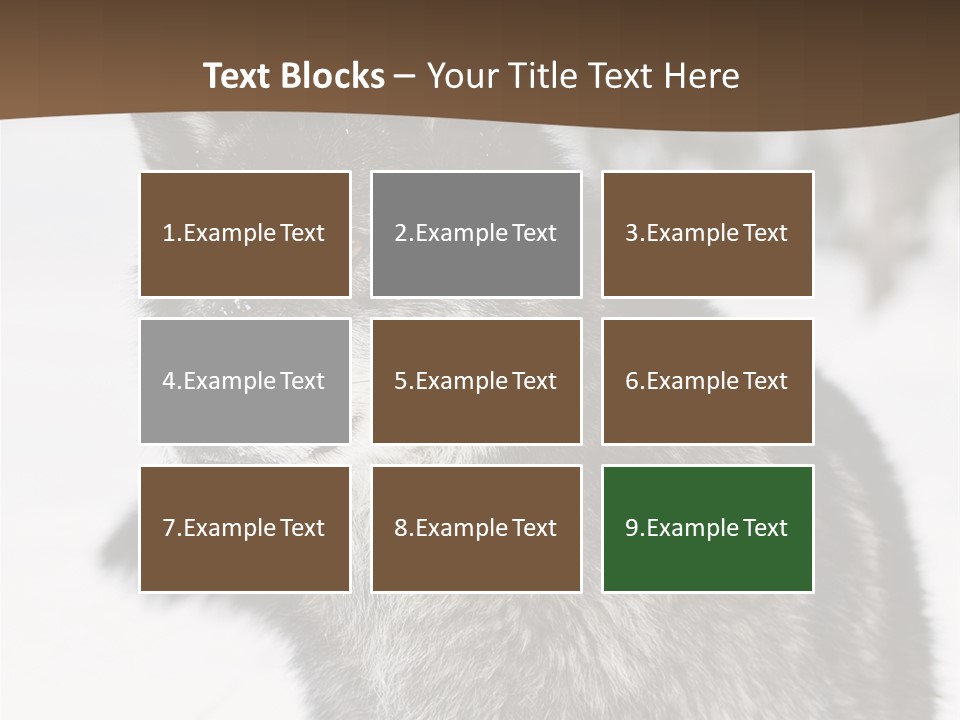 Cold Mammal Head PowerPoint Template