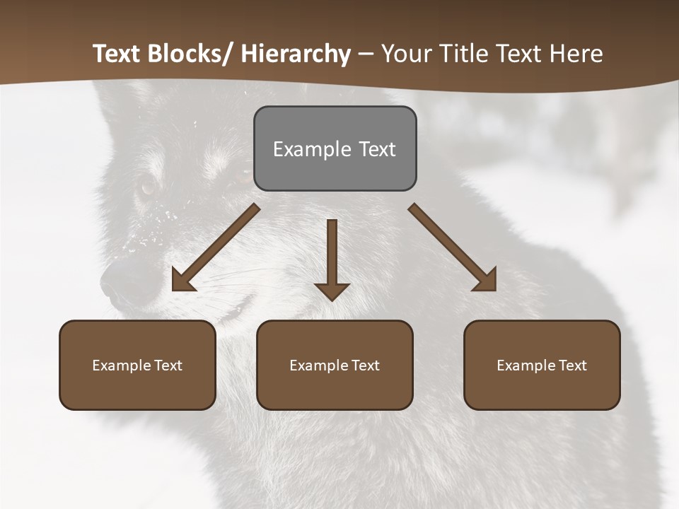 Cold Mammal Head PowerPoint Template