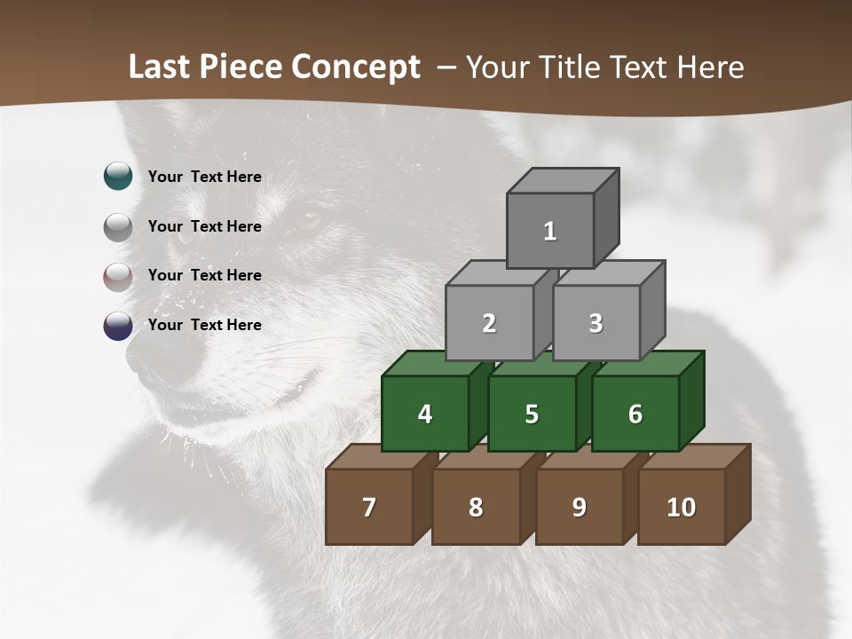 Cold Mammal Head PowerPoint Template