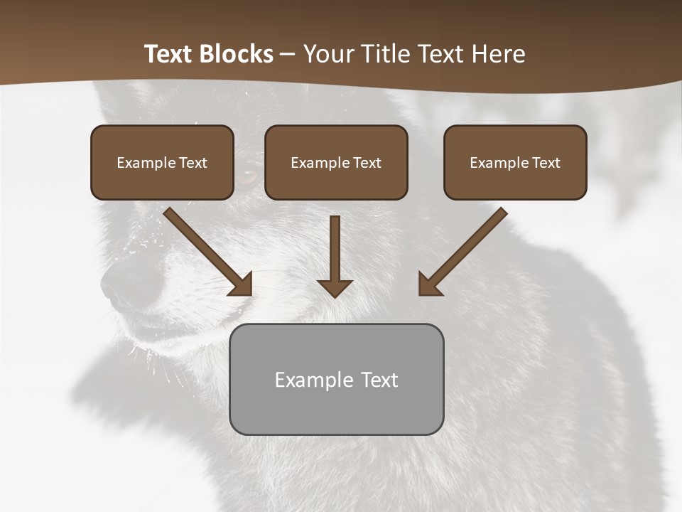 Cold Mammal Head PowerPoint Template
