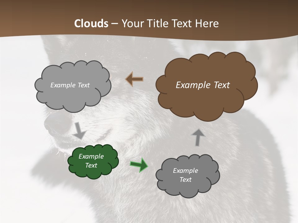 Cold Mammal Head PowerPoint Template