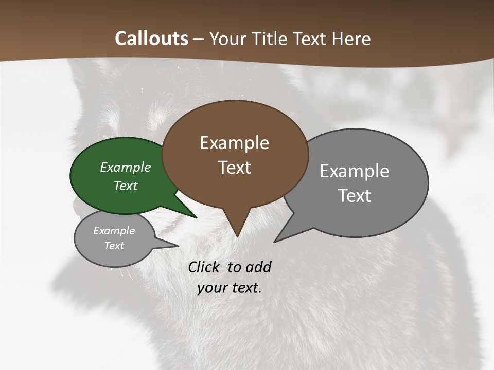 Cold Mammal Head PowerPoint Template