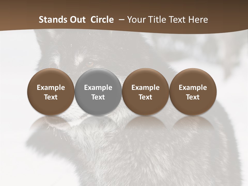 Cold Mammal Head PowerPoint Template