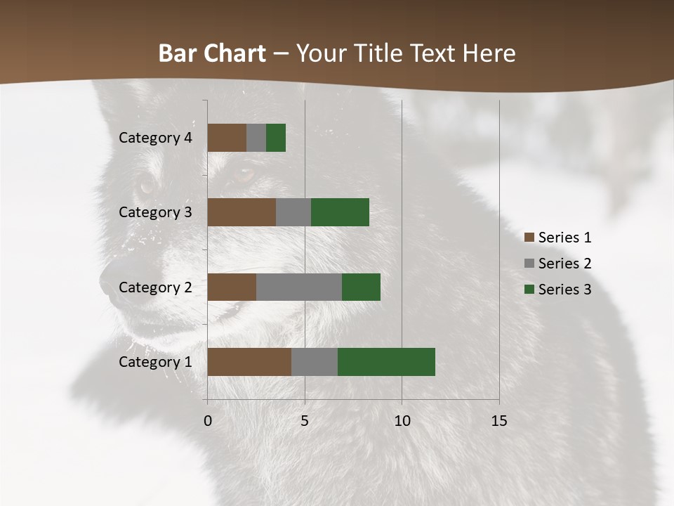 Cold Mammal Head PowerPoint Template
