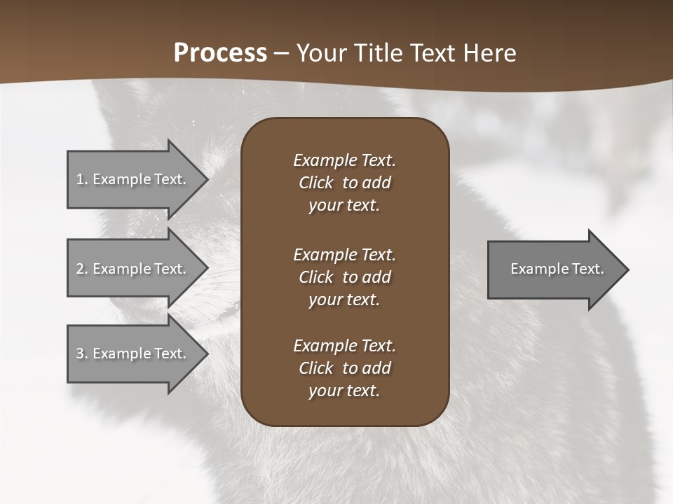 Cold Mammal Head PowerPoint Template