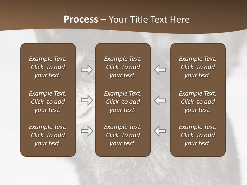Cold Mammal Head PowerPoint Template