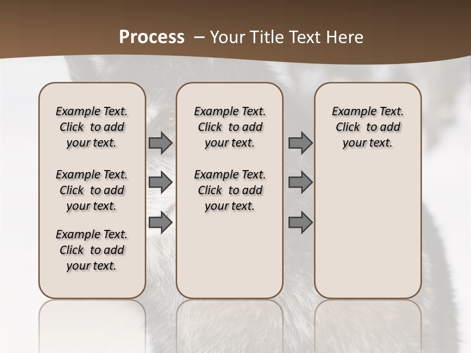 Cold Mammal Head PowerPoint Template