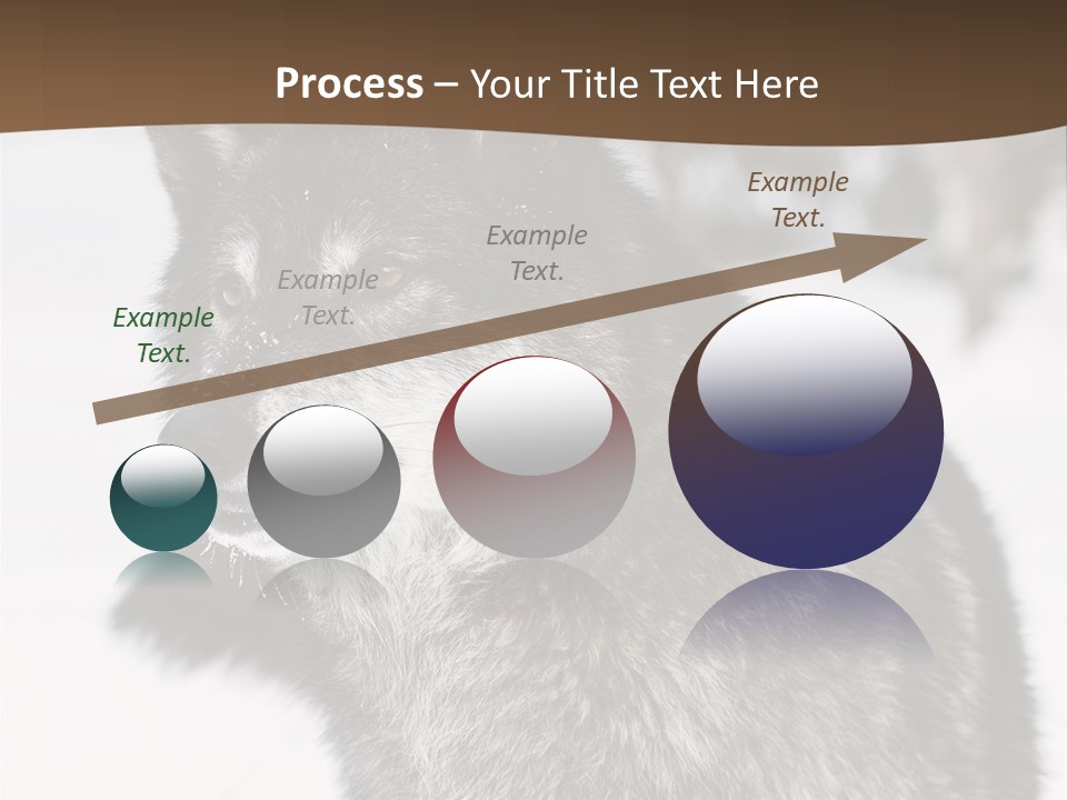 Cold Mammal Head PowerPoint Template