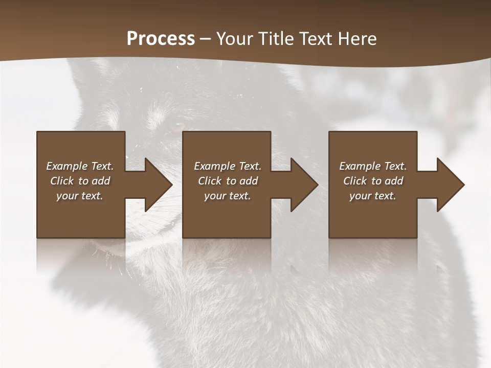 Cold Mammal Head PowerPoint Template