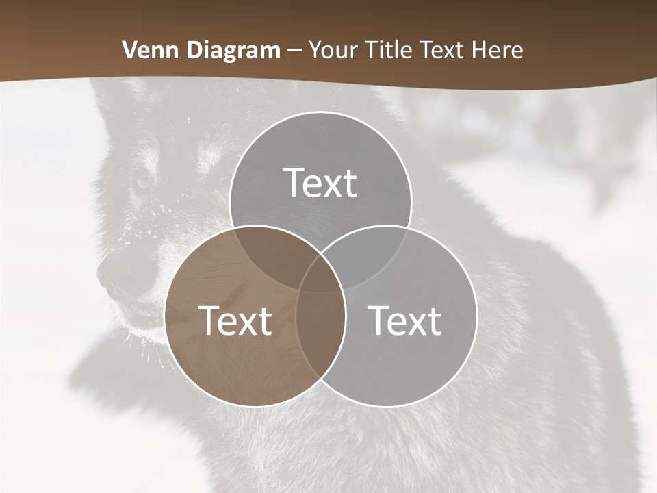 Cold Mammal Head PowerPoint Template