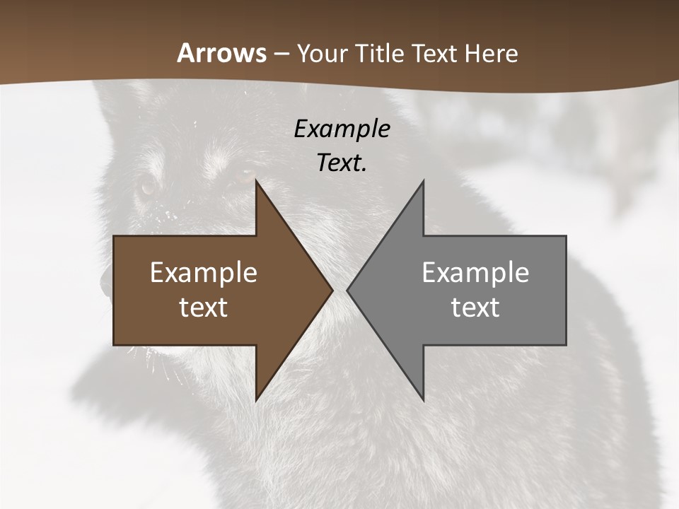 Cold Mammal Head PowerPoint Template