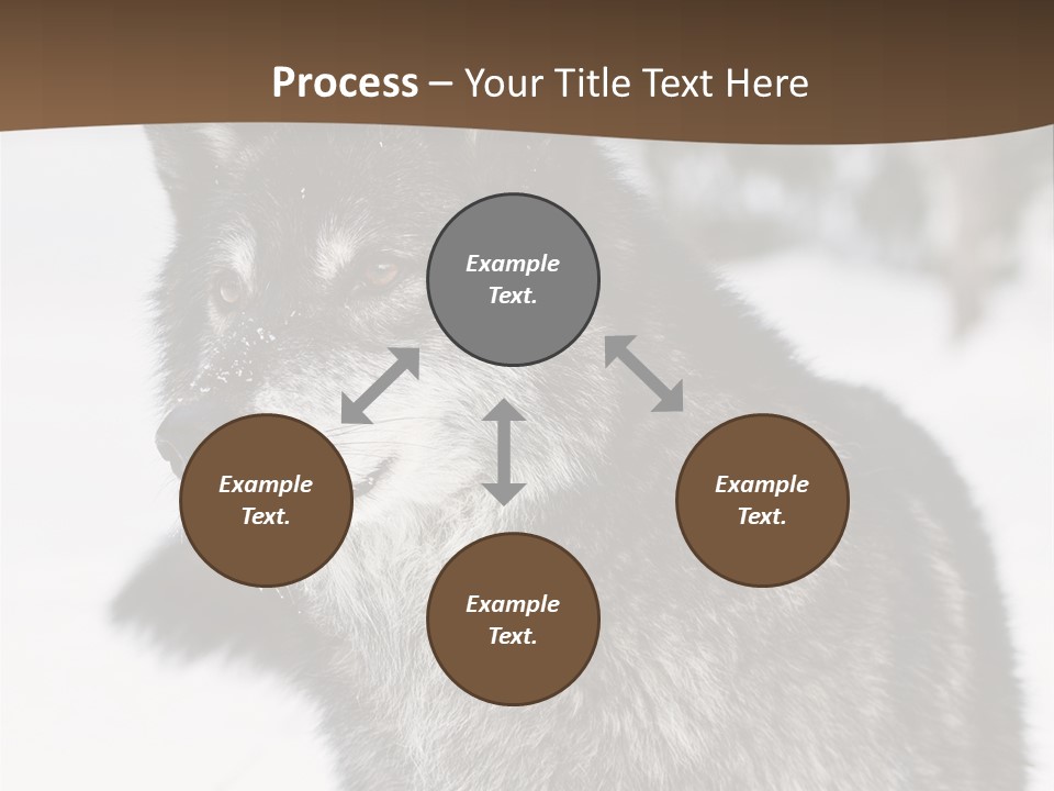 Cold Mammal Head PowerPoint Template