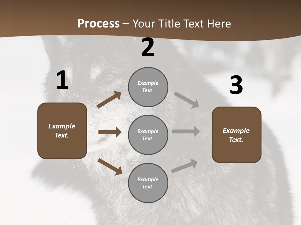 Cold Mammal Head PowerPoint Template